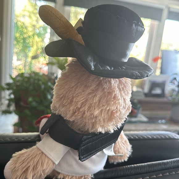 Pet pilgrim hat, and rhinestone tie with collar - Picture 6 of 6